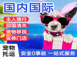 晋江航空邮寄国际宠物托运 【国